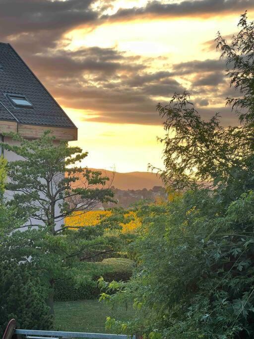 Appartement Calme Et Lumineux De 2,5 Pces Proche Lausanne Ecublens  외부 사진